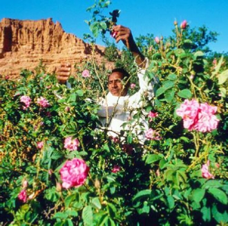 Best Places to Visit in Morocco